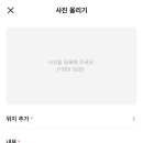 코코애견 이미지