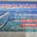 고성자연산횟집 - 김해시 내덕로4번길 7-9 | 고성자연산횟집