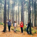 아직 晩秋까지는 멀었다. 이미지