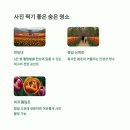 숨은꽃 이미지
