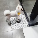 루이앤코코 이미지