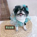 몽심살롱 이미지