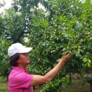 영걸농장 이미지