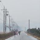 서해랑길 71코스 이미지