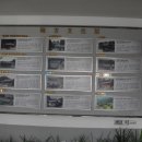 민물고기식당 이미지