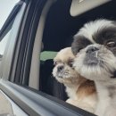 성심컨설팅공인중개사사무소 이미지