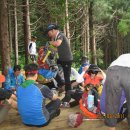 판교초교 이미지