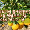 폴개네제주드림캠프 이미지