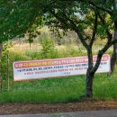 양천세천 이미지