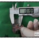 미드미동물의료센터 이미지