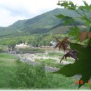 펜션 강가애 이미지