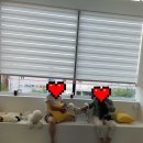 리츠펫 향남점 이미지