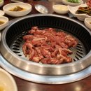 수영숯불갈매기 이미지