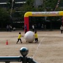 신남성초등학교 이미지