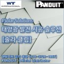 더블유티 인터내셔널