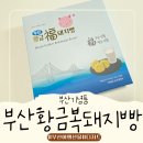 복이와복돼지 | 부산 기념품 추천 부산황금복돼지빵 디저트맛집 후기