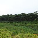 보은 우당고택 이미지