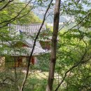 일봉목장 이미지