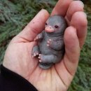 오리너구리