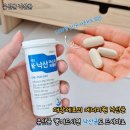 미성솔루션 | 유산균 챙겨먹다가 낙산균까지 먹게된 후기 낙산 프로바이오틱스 후기(ft.미성뉴트리션)