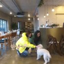 우리좋은민박 이미지