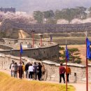수원-1789 매일경제