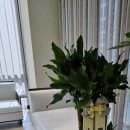 서울센트럴유외과의원 이미지