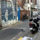 한국맥도날드 방배점 이미지