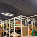 채선당(소사점) | 부천옥길동 채선당샤브샤브 놀이방식당