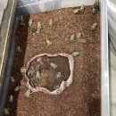 블루아이PC 이미지