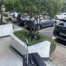 그레이스병원 | 눈물의 제왕절개 당일 출산후기 그레이스병원