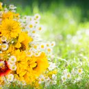 금강스포츠공원 이미지