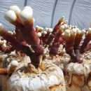 초전면 보건소 이미지