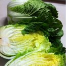 창희네 농장 이미지