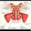 이강부부한의원 이미지