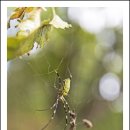 전망좋은곳 이미지