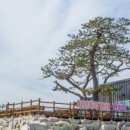 보릿돌펜션 이미지