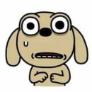 김화스포츠 | 대전여행