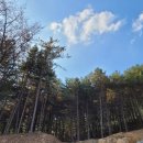 토지약국 이미지