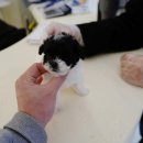 수원-1405 이미지