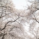흥국로 네이버블로그
