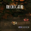 쉽게 배우는 DSLR 카메라 | [공지] 리코 카메라 GR3 포지티브 필름으로 담은 멜버른 시드니 레시피