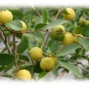 이창환농장 이미지