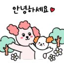 영도미용실 머리하기좋은날 이미지
