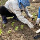 팔암농장 이미지