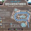 천안시국민여가캠핑장 | 천안시 국민여가 캠핑장 오토캠핑장 후기
