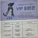 또멍냥 이미지