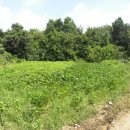 국립교통재활병원 이미지