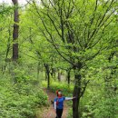 휴양림로 이미지