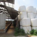 나라축사 이미지